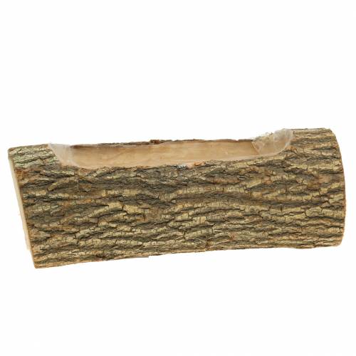 Ültető szilfa 29cm x 11cm H10cm