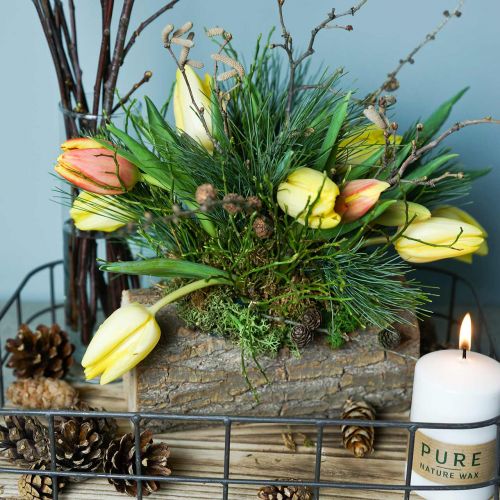 Floristik24 Ültető szilfa 20cm x 11cm H9cm