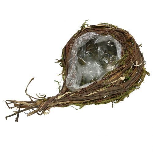 Floristik24 Szőlőből és mohából készült ültetőgép 35cm x 20cm