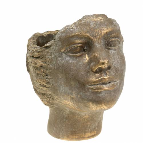 Floristik24 Növényfej növény mellszobra arany H20cm