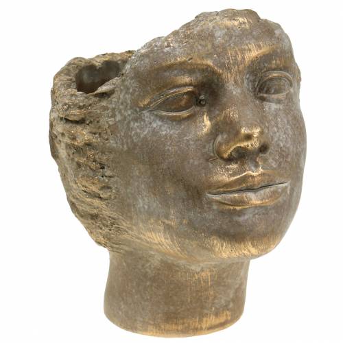 Floristik24 Fejültető növény mellszobor arany H24cm