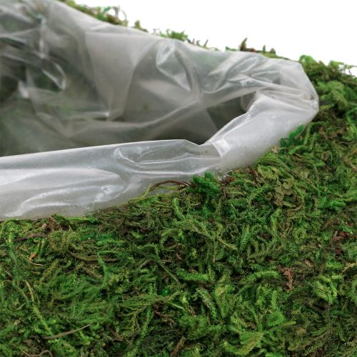 Floristik24 Növény szív moha 28cm x 23cm