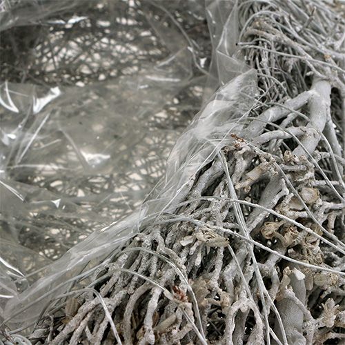 Floristik24 Ültető szív szőlő fehér szív ültetésre 38×32×7,5 cm