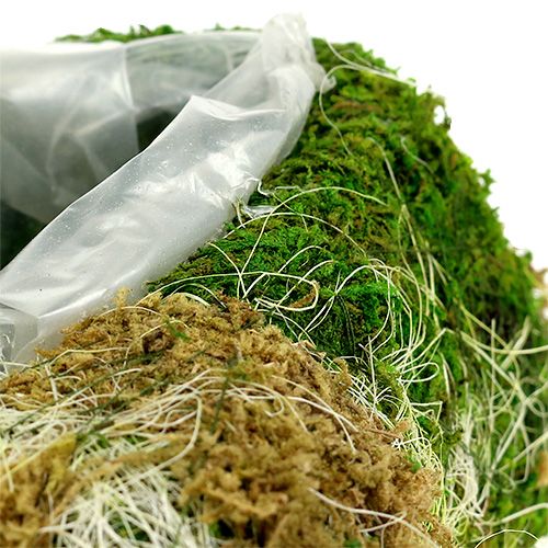 Floristik24 Növényi szívmoha 30cm x 20cm 2db