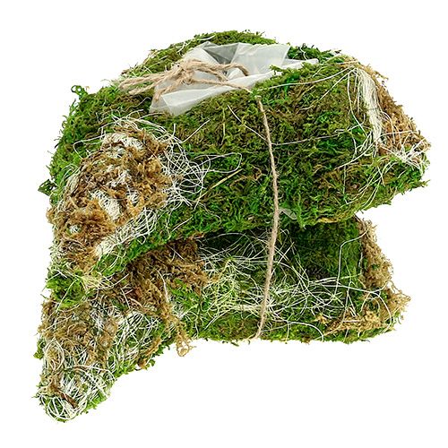 Floristik24 Növényi szívmoha 30cm x 20cm 2db