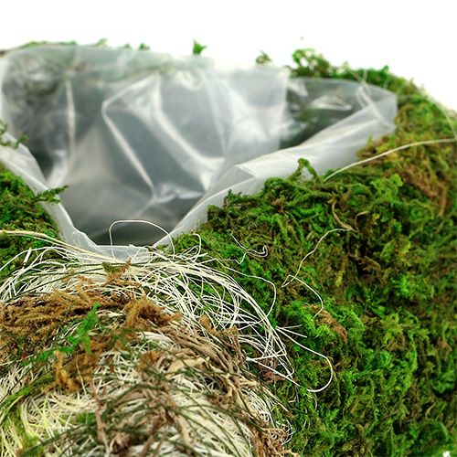 Floristik24 Növény szív moha 35cm x 25cm