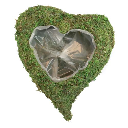 Floristik24 Növényi szív moha zöld növényi tál szív 20x20x5,5cm