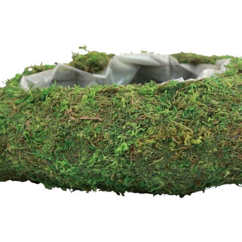 Floristik24 Növényi szív moha zöld növényi tál szív 20x20x5,5cm