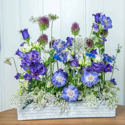 Floristik24 Növénydoboz beton világosszürke 40x8cm H6,7cm