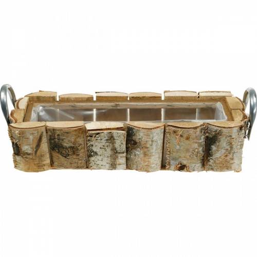 Floristik24 Növénydoboz nyírfa nyéllel 40×15×13cm deko nyírfa