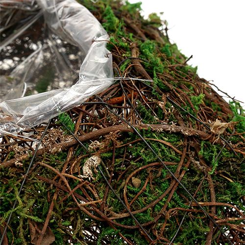 Floristik24 Növénypárna szőlő, moha 22cm x 22cm H7,5cm