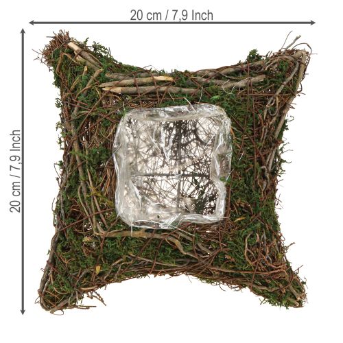 Növénypárna kúszónövény moha virágtál natúr 20×20×6,5 cm | Floristik24.hu