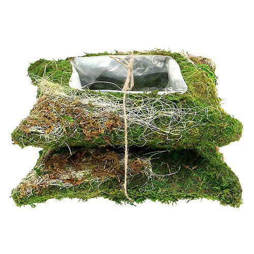 Floristik24 Növénypárna moha 25cm x 25cm 2db