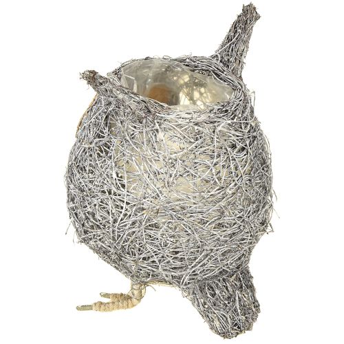 tételeket Növénykosár bagoly szőlő fehér mosott Ø14cm