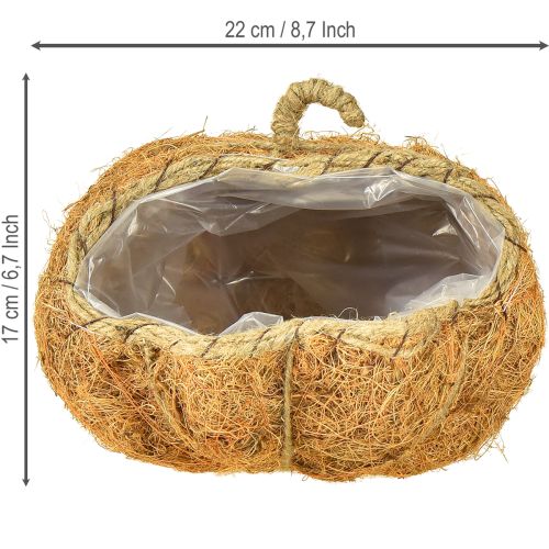 tételeket Növénykosár tök őszi dekoráció narancssárga Ø22cm M17cm