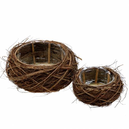 Floristik24 Növénykosár szőlő és gallyak natúr Ø37 / 28cm, 2 db-os készlet