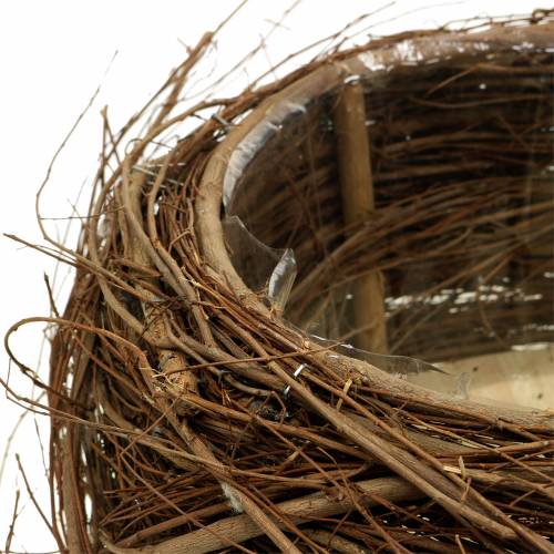 Floristik24 Növénykosár szőlő és gallyak natúr Ø37 / 28cm, 2 db-os készlet