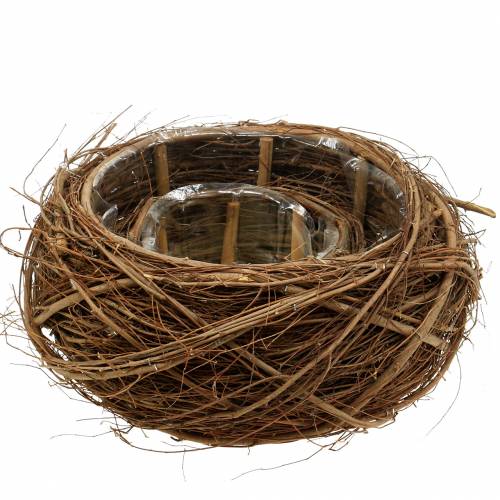 Floristik24 Növénykosár szőlő és gallyak natúr Ø37 / 28cm, 2 db-os készlet