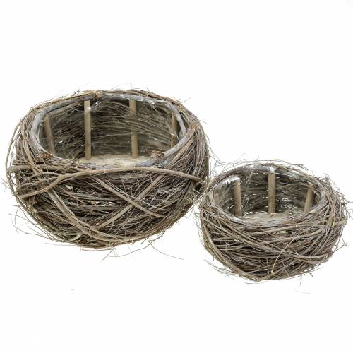 Floristik24 Növénykosár szőlő és ágak fehérre mosott Ø37/28cm 2 db-os szett