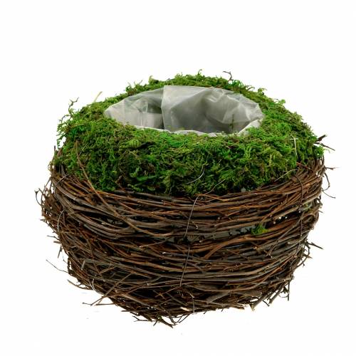 Floristik24 Növénytál rattan, moha Ø16cm H11cm