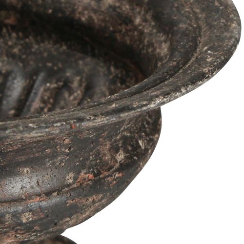 Floristik24 Plant Cup Chalice Antique Look Fekete Barna Ø20cm H15cm