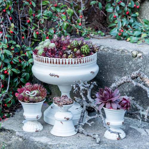 Floristik24 Plant Cup Chalice Antik krém Ø7,5cm H9cm 1 db