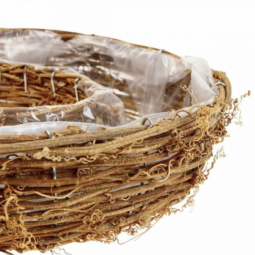 Floristik24 Szőlő növénygyűrű, növénytál Ø35/30cm 2 db-os készlet