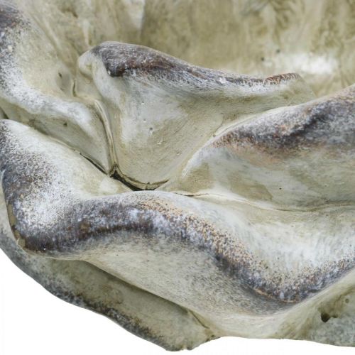 Floristik24 Beton rózsa, kerti dekoráció, növényi rózsa, temetési virágok szürke, sárgabarack, ibolya Ø12cm L26,5cm H11cm