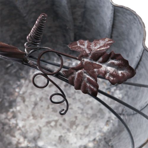 Floristik24 Növénytál fém sütőtök dekoratív cserepes horgany Ø21/30cm 2 db-os készlet