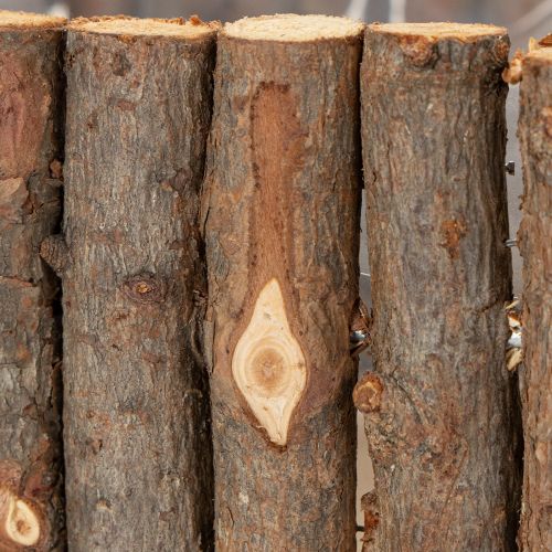 tételeket Növénytál négyzet alakú natúr nyírfaágak 14,5/20cm 2 db-os készlet