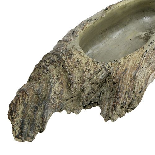 Floristik24 Ültetőgép pozsgások számára 24,5cm x 8,5cm H5,5cm