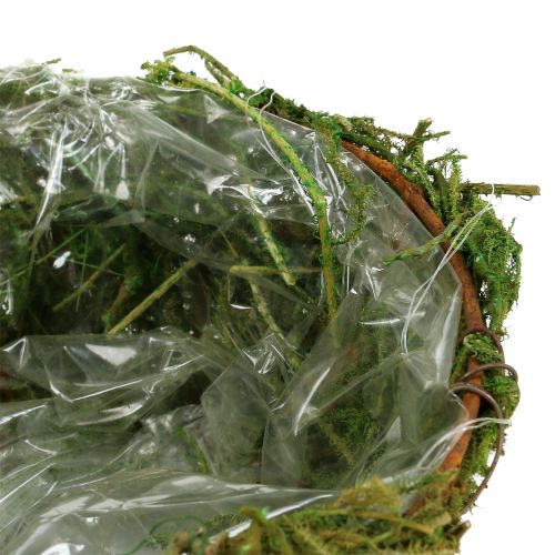 Floristik24 Ültetőtál mohával Ø16cm H9cm - 10cm zöld 3db