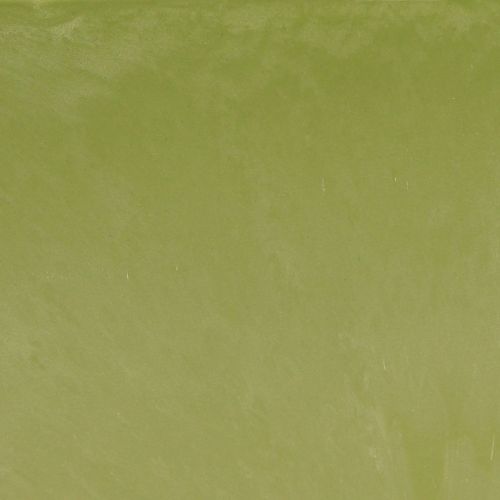 tételeket Növénytál ovális zöld tál műanyag 27×11×10cm 3db