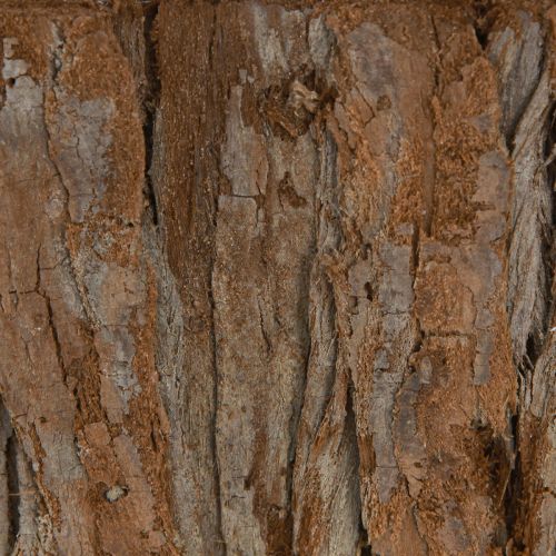 tételeket Növénytál ovális natúr kéreg 30,5×15cm / 24×11cm 2 db-os készlet