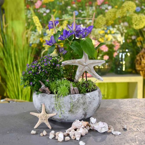 Floristik24 Növénytál antik megjelenésű virágtál patina Ø32cm H14cm