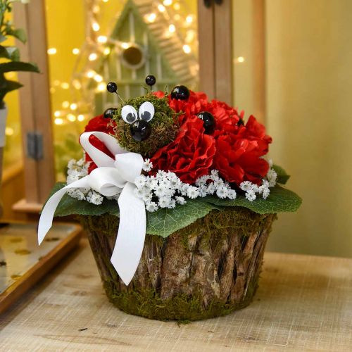 Floristik24 Növénytál moha/kéreg kerek Ø15/20cm 2 db-os készlet