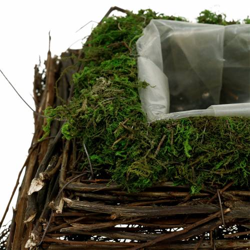 Floristik24 Növényi párna rattan, moha 20cm x 20cm H8cm