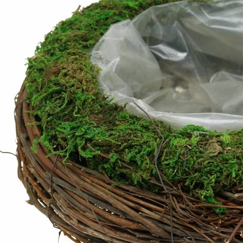 Floristik24 Növénytál rattan, moha Ø26cm H9cm