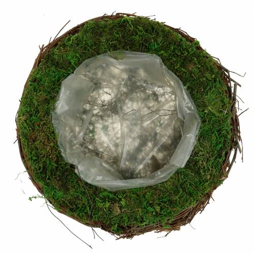 Floristik24 Növénytál rattan, moha Ø26cm H9cm