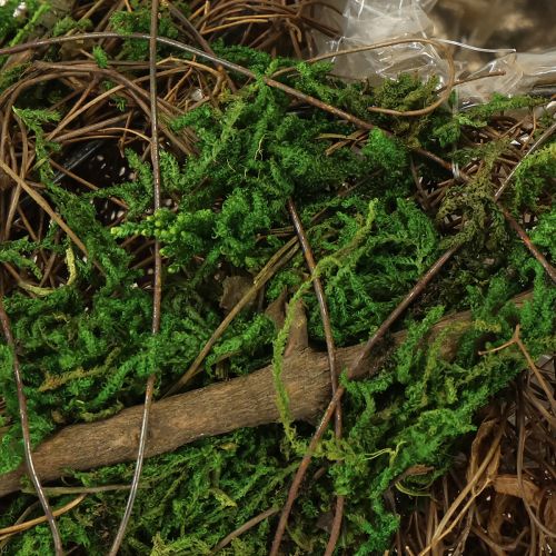 Floristik24 Csónakos indák és moha ültetőtál 31×17×6cm