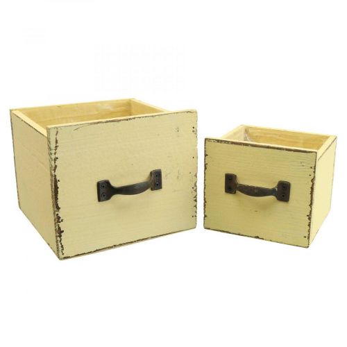 Floristik24 Növényfiókos növényi doboz fa sárga 12,5/16 cm-es 2db-es készlet