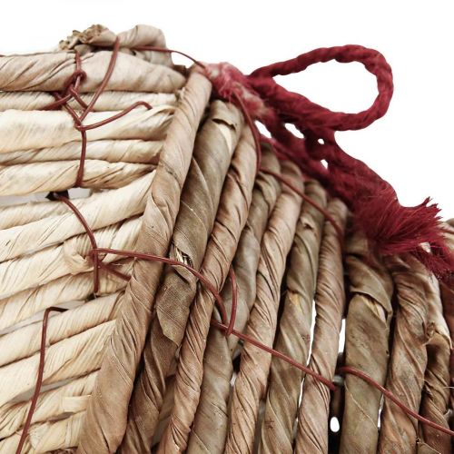 Floristik24 Cserepes cipő tengerifű ültetéséhez 22,5×10×12 cm