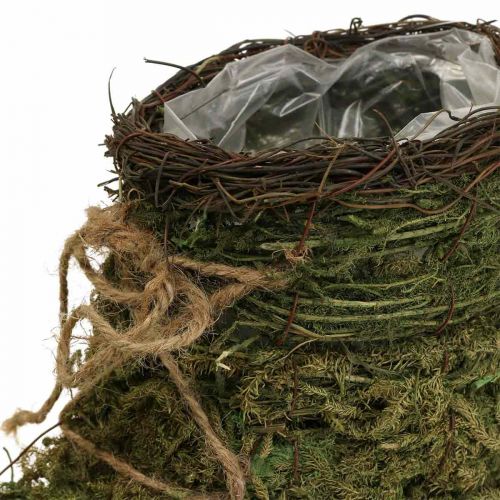 Floristik24 Cserepes cipő moha és szőlő ültetésére 30×14×21 cm