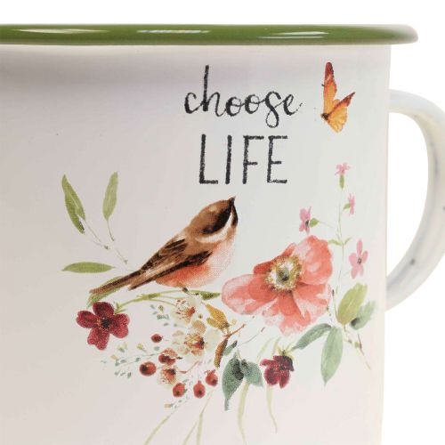 tételeket Növényi csésze Zománcos csésze ültetésre mondván Ø11cm