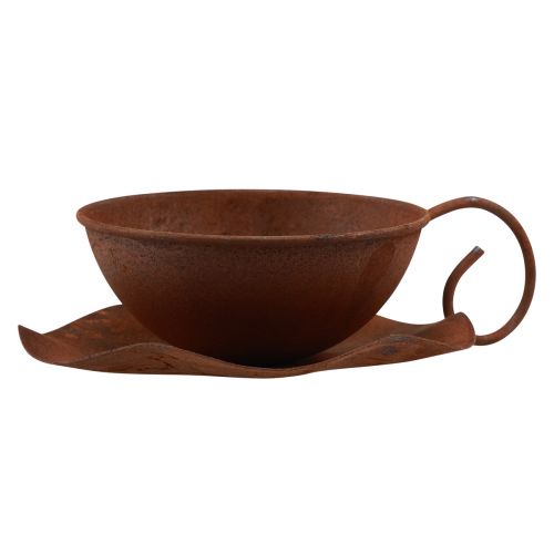 Floristik24 Növényi csésze csészealjjal vintage rozsda Ø17,5cm H6cm