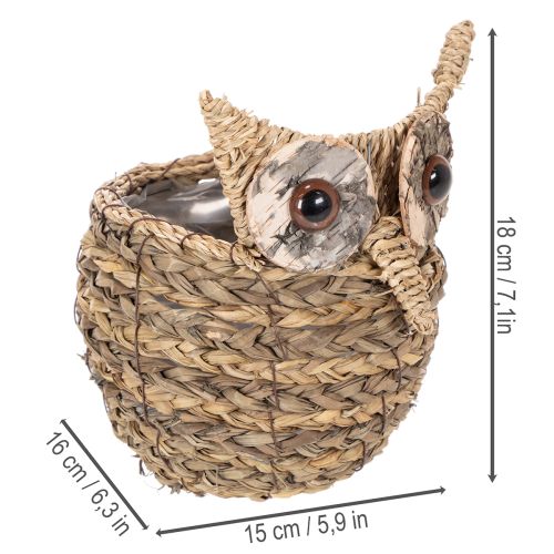 Kézzel szőtt bagolykosár dekoráció ablakpárkányra, 18cm | Floristik24.hu