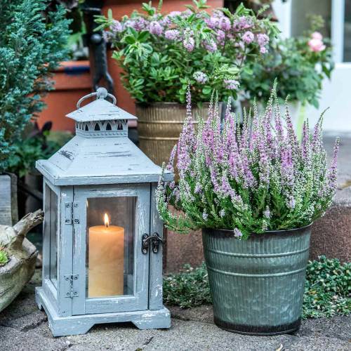 Floristik24 Csere narancs, barna, zöld Ø17cm H16,5cm 3 db-os készlet