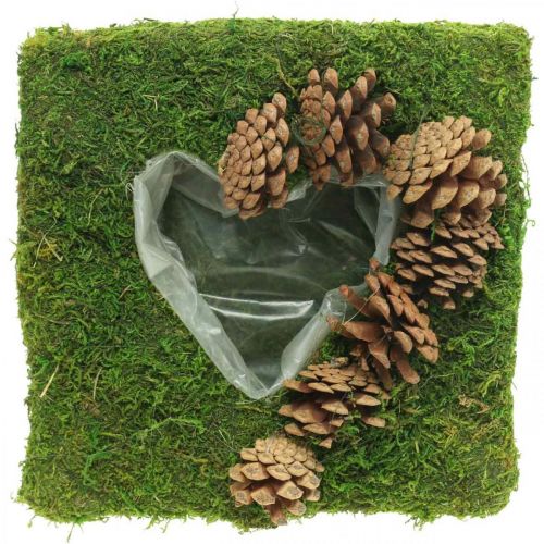 Növényi párna szív moha és kúpok négyzet 25 × 25 cm