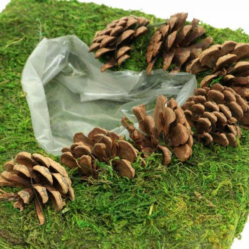 Floristik24 Növényi párna szív moha és kúpok négyzet 25 × 25 cm