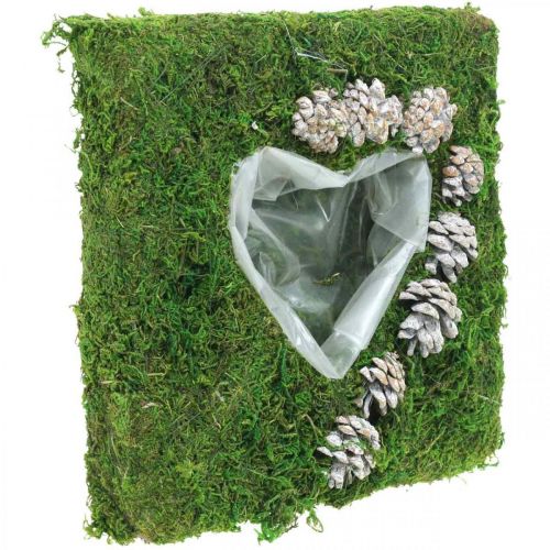 Floristik24 Növényi párna szív moha és kúpok, mosott fehér 25 × 25 cm